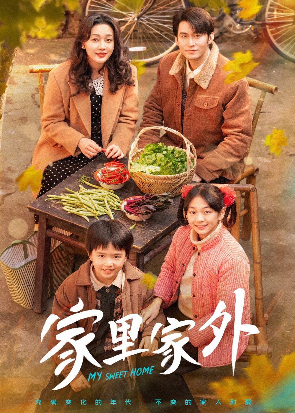 家里家外第一季(全集)
