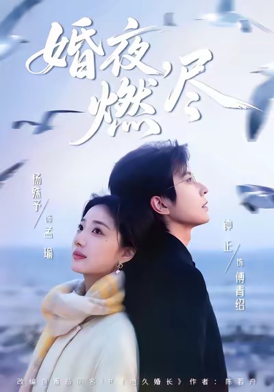 婚夜，燃尽(全集)